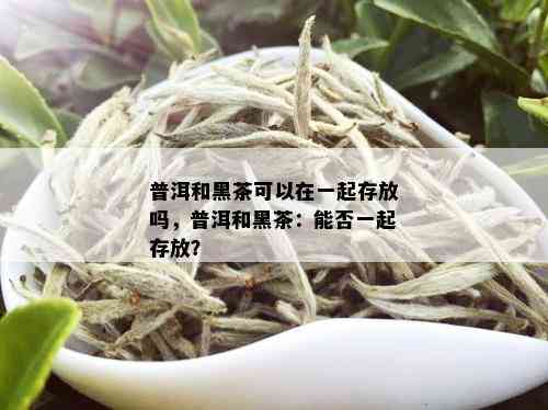 普洱和黑茶可以在一起存放吗，普洱和黑茶：能否一起存放？