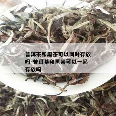 普洱茶和黑茶可以同时存放吗-普洱茶和黑茶可以一起存放吗