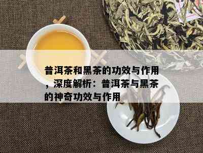 普洱茶和黑茶的功效与作用，深度解析：普洱茶与黑茶的神奇功效与作用