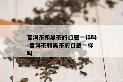 普洱茶和黑茶的口感一样吗-普洱茶和黑茶的口感一样吗