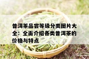 普洱茶品尝等级分类图片大全：全面介绍各类普洱茶的价格与特点