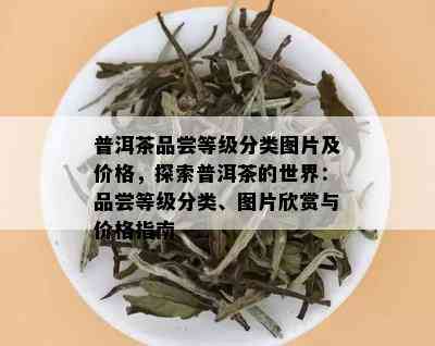 普洱茶品尝等级分类图片及价格，探索普洱茶的世界：品尝等级分类、图片欣赏与价格指南