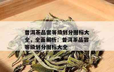 普洱茶品尝等级划分图标大全，全面解析：普洱茶品尝等级划分图标大全