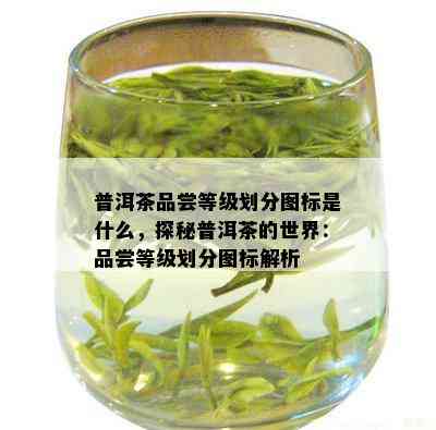 普洱茶品尝等级划分图标是什么，探秘普洱茶的世界：品尝等级划分图标解析