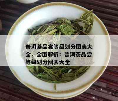 普洱茶品尝等级划分图表大全，全面解析：普洱茶品尝等级划分图表大全