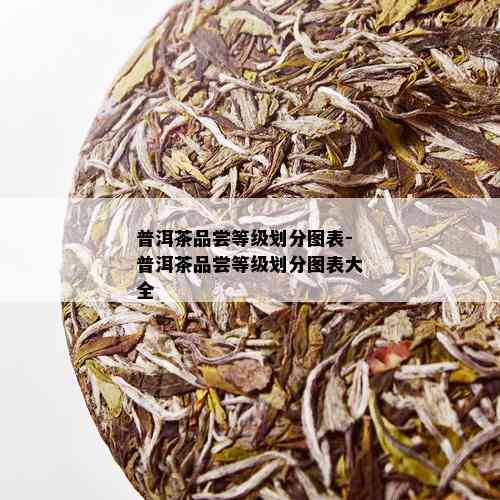 普洱茶品尝等级划分图表-普洱茶品尝等级划分图表大全