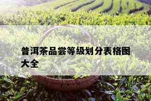 普洱茶品尝等级划分表格图大全