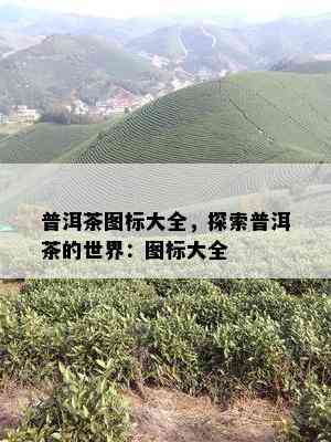 普洱茶图标大全，探索普洱茶的世界：图标大全