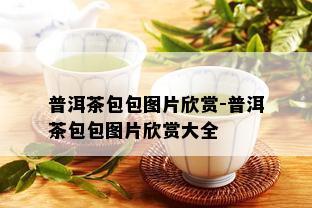 普洱茶包包图片欣赏-普洱茶包包图片欣赏大全