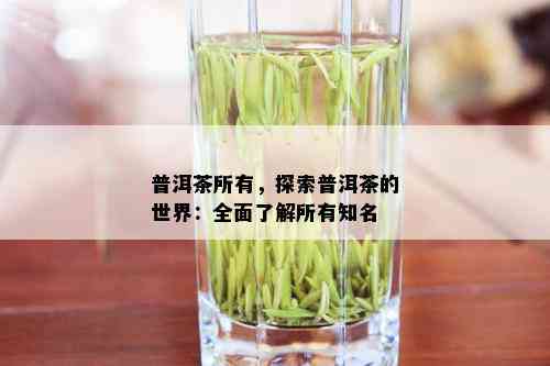 普洱茶所有，探索普洱茶的世界：全面了解所有知名