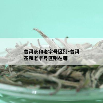 普洱茶和老字号区别-普洱茶和老字号区别在哪