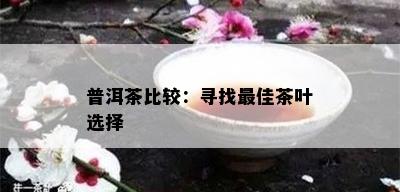 普洱茶比较：寻找更佳茶叶选择