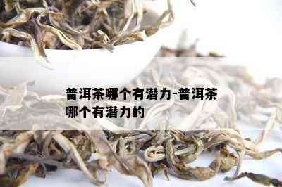 普洱茶哪个有潜力-普洱茶哪个有潜力的