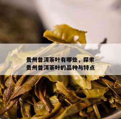 贵州普洱茶叶有哪些，探索贵州普洱茶叶的品种与特点