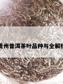 贵州普洱茶叶品种与全解析