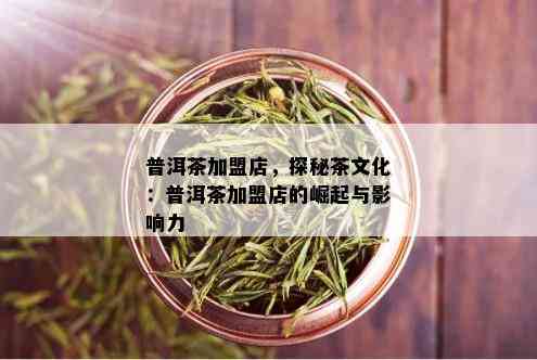 普洱茶加盟店，探秘茶文化：普洱茶加盟店的崛起与影响力