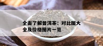 全面了解普洱茶：对比图大全及价格图片一览