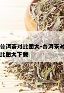 普洱茶对比图大-普洱茶对比图大下载