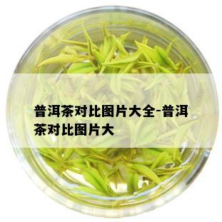 普洱茶对比图片大全-普洱茶对比图片大