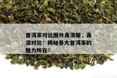 普洱茶对比图片高清版，高清对比：揭秘各大普洱茶的魅力所在！