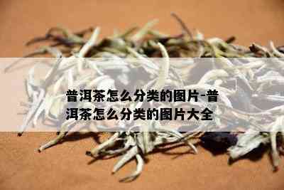 普洱茶怎么分类的图片-普洱茶怎么分类的图片大全