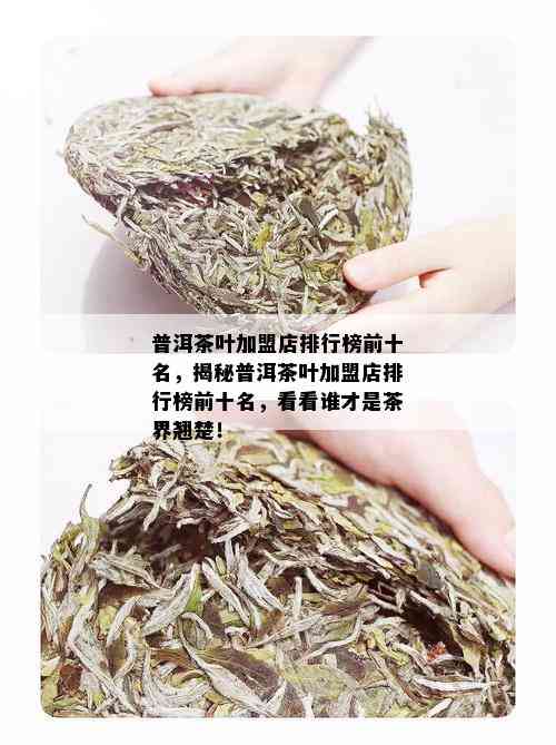 普洱茶叶加盟店排行榜前十名，揭秘普洱茶叶加盟店排行榜前十名，看看谁才是茶界翘楚！