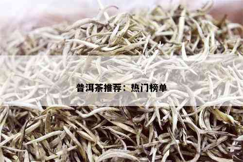 普洱茶推荐：热门榜单