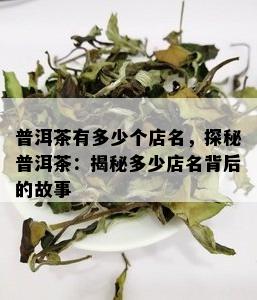 普洱茶有多少个店名，探秘普洱茶：揭秘多少店名背后的故事