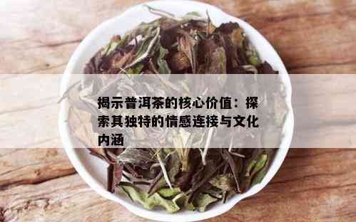 揭示普洱茶的核心价值：探索其独特的情感连接与文化内涵