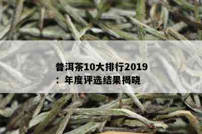 普洱茶10大排行2019：年度评选结果揭晓