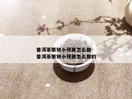 普洱茶策划小预算怎么做-普洱茶策划小预算怎么做的