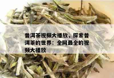 普洱茶视频大播放，探索普洱茶的世界：全网最全的视频大播放