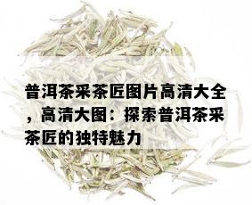 普洱茶采茶匠图片高清大全，高清大图：探索普洱茶采茶匠的独特魅力