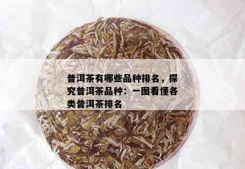 普洱茶有哪些品种排名，探究普洱茶品种：一图看懂各类普洱茶排名