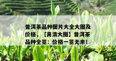 普洱茶品种图片大全大图及价格，【高清大图】普洱茶品种全览：价格一览无余！