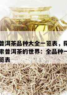 普洱茶品种大全一览表，探索普洱茶的世界：全品种一览表