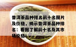 普洱茶品种排名前十名图片及价格，揭示普洱茶品种排名：看图了解前十名及其市场价格！