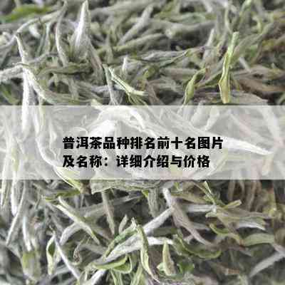 普洱茶品种排名前十名图片及名称：详细介绍与价格