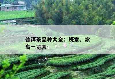 普洱茶品种大全：班章、冰岛一览表