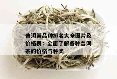 普洱茶品种排名大全图片及价格表：全面了解各种普洱茶的价格与种类