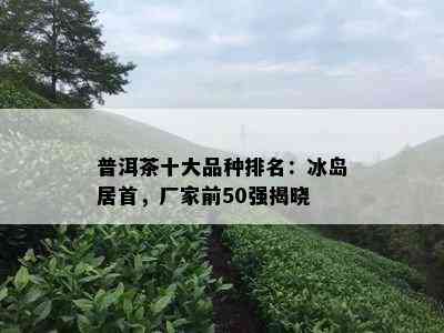 普洱茶十大品种排名：冰岛居首，厂家前50强揭晓