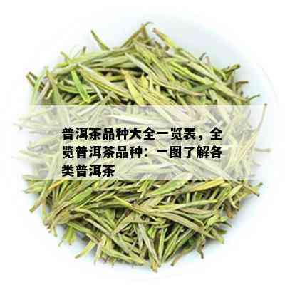 普洱茶品种大全一览表，全览普洱茶品种：一图了解各类普洱茶