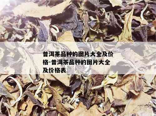 普洱茶品种的图片大全及价格-普洱茶品种的图片大全及价格表