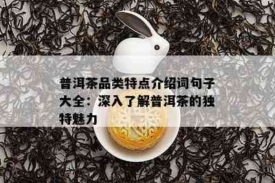 普洱茶品类特点介绍词句子大全：深入了解普洱茶的独特魅力