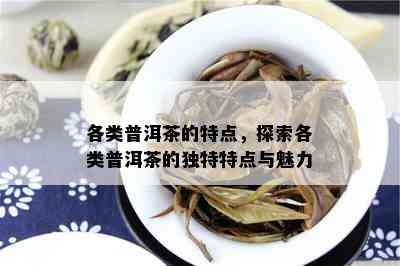 各类普洱茶的特点，探索各类普洱茶的独特特点与魅力