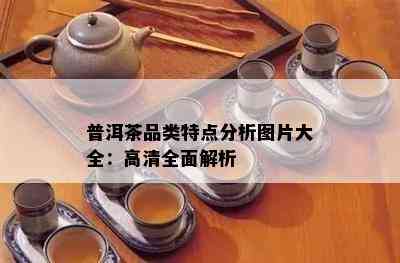 普洱茶品类特点分析图片大全：高清全面解析