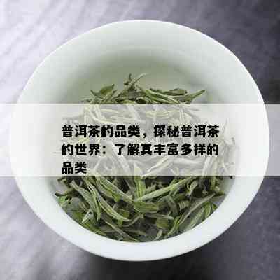 普洱茶的品类，探秘普洱茶的世界：了解其丰富多样的品类