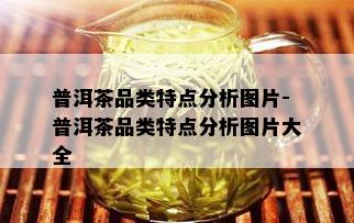 普洱茶品类特点分析图片-普洱茶品类特点分析图片大全