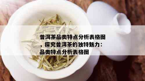 普洱茶品类特点分析表格图，探究普洱茶的独特魅力：品类特点分析表格图