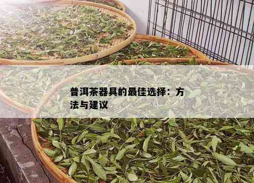 普洱茶器具的更佳选择：方法与建议